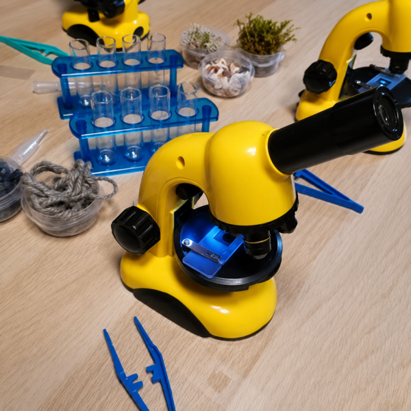 Discover the Invisible: Microscope Workshop