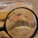 Archaeological Excavation Kit