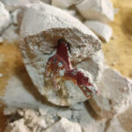 Dinosaur Egg Excavation Kit