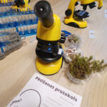 Discover the Invisible: Microscope Workshop