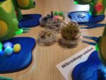 Microscope Workshop - Image 2