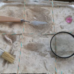 Archaeological Excavation kit