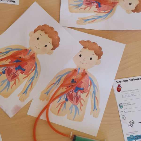 Hearts Workshop